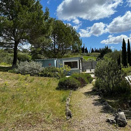 Chambre Tropicale Au Domaine De L'Aven Villeneuve-Minervois Ngoại thất bức ảnh